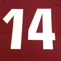 Printed 9'' Team Numbers